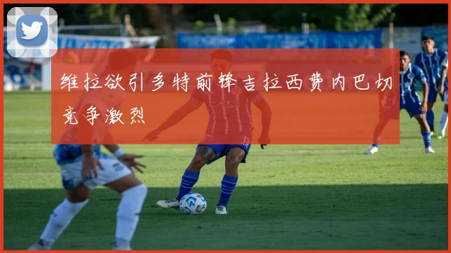 维拉欲引多特前锋吉拉西费内巴切竞争激烈