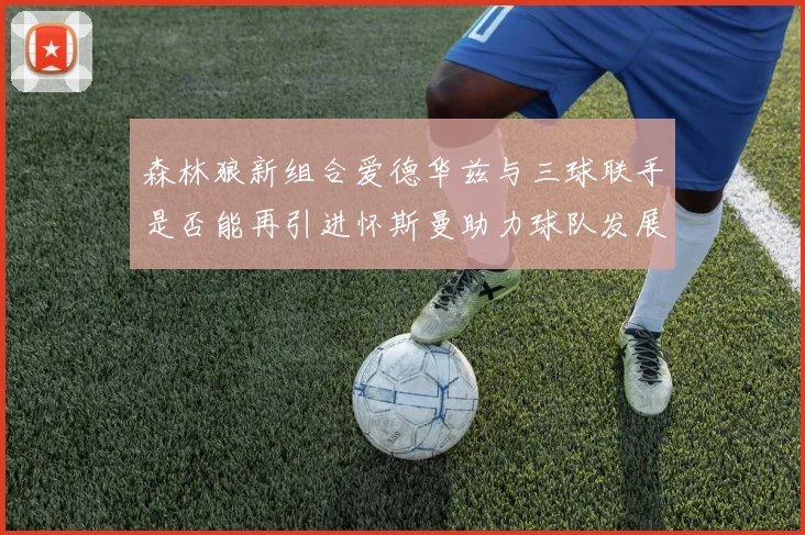 森林狼新组合爱德华兹与三球联手是否能再引进怀斯曼助力球队发展